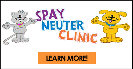 spay and neuter clinic